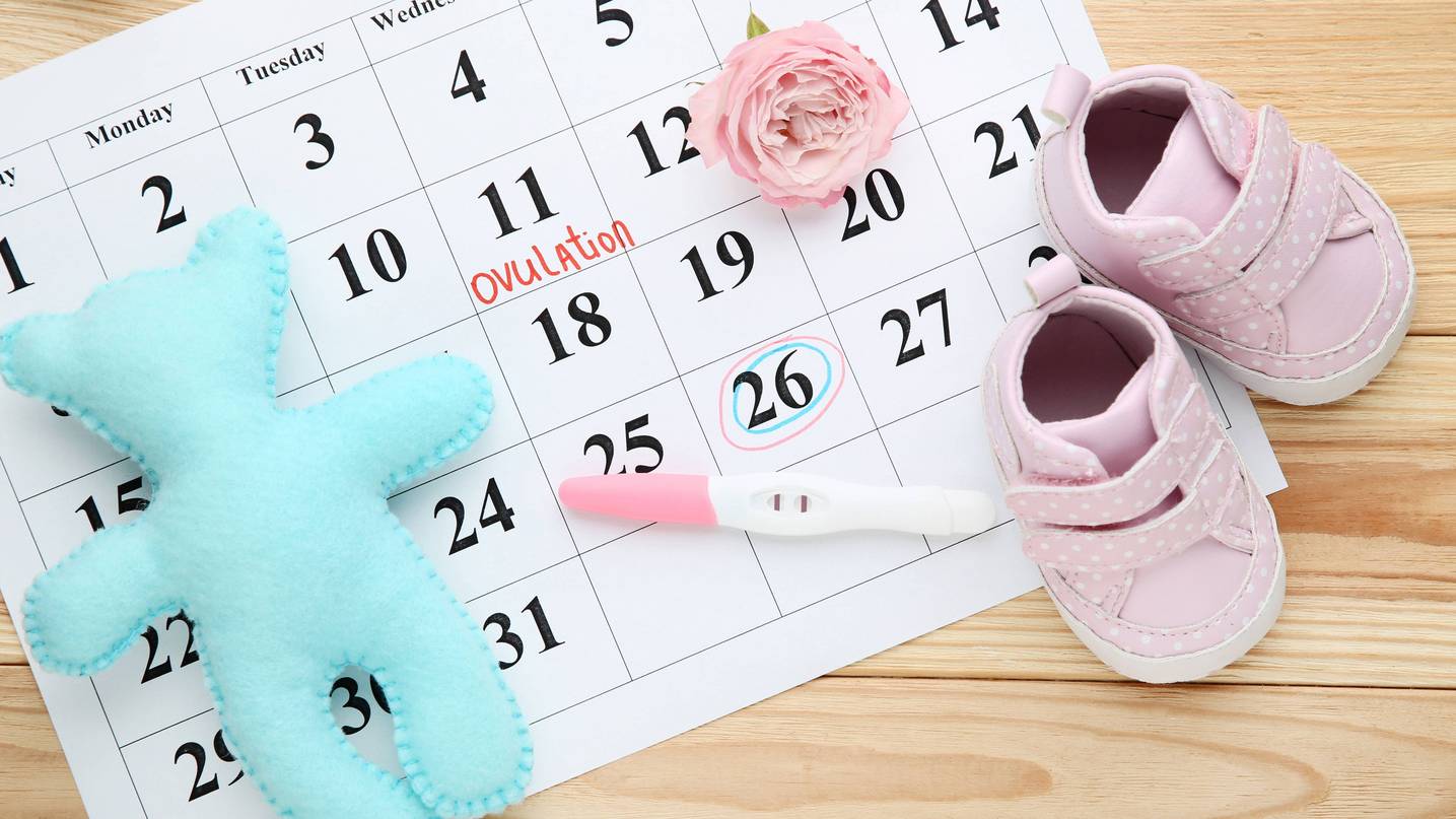 Kalender, in dem der Tag der Ovulation eingetragen ist. Daneben liegen Kinderschuhe und ein Kinderspielzeug.